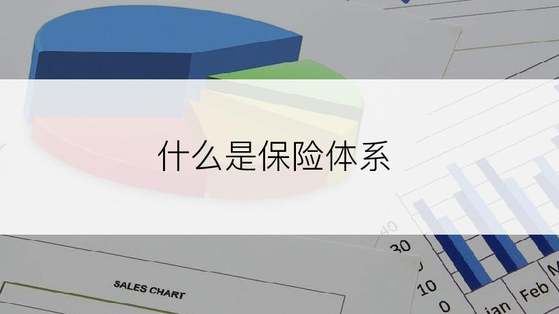 什么是保险体系
