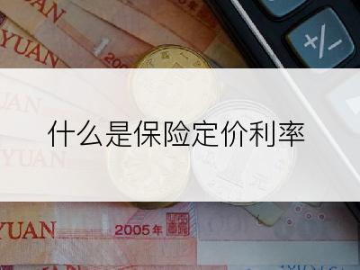什么是保险定价利率