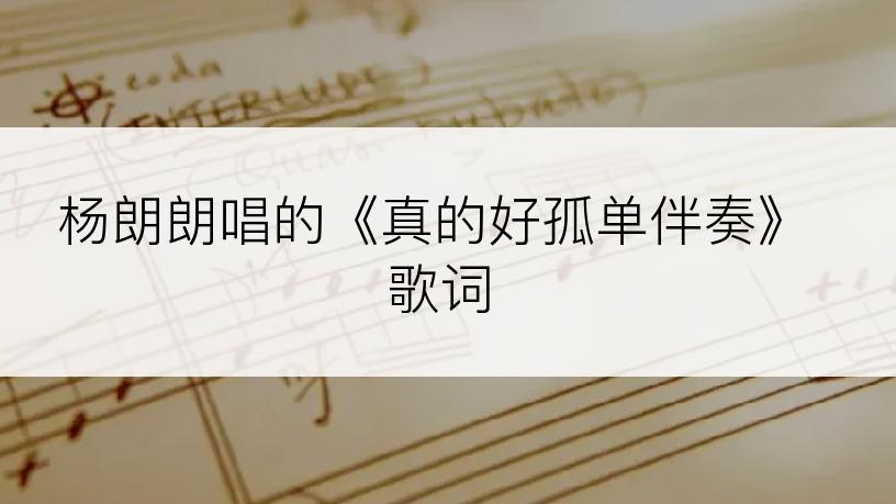 杨朗朗唱的《真的好孤单伴奏》歌词