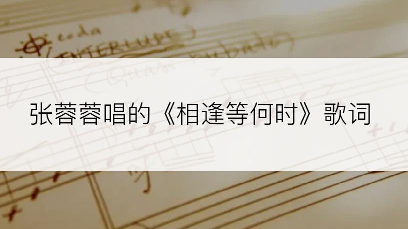 张蓉蓉唱的《相逢等何时》歌词