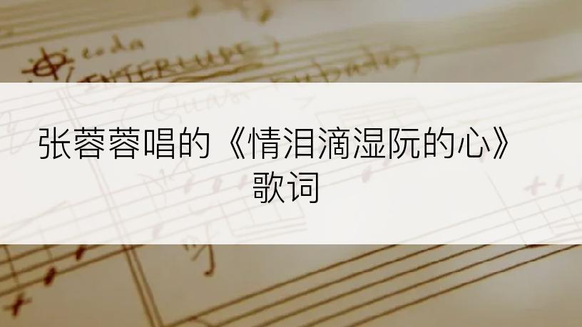 张蓉蓉唱的《情泪滴湿阮的心》歌词