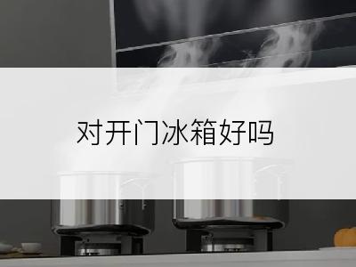 对开门冰箱好吗