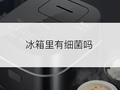 冰箱里有细菌吗