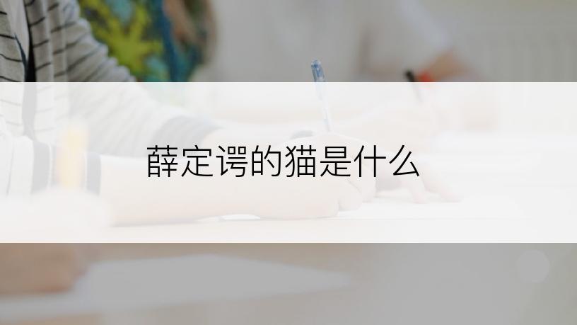 薛定谔的猫是什么