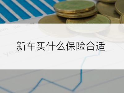 新车买什么保险合适