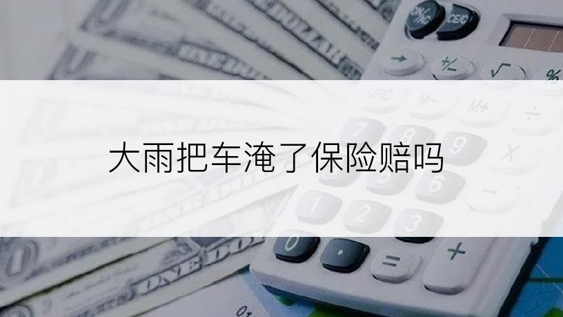 大雨把车淹了保险赔吗