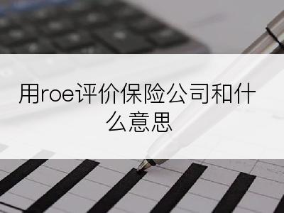 用roe评价保险公司和什么意思