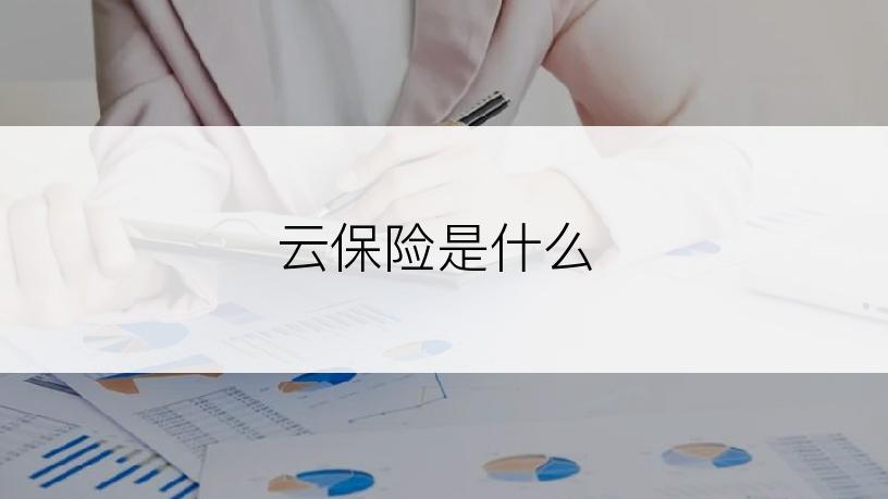 云保险是什么