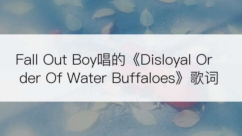 Fall Out Boy唱的《Disloyal Order Of Water Buffaloes》歌词