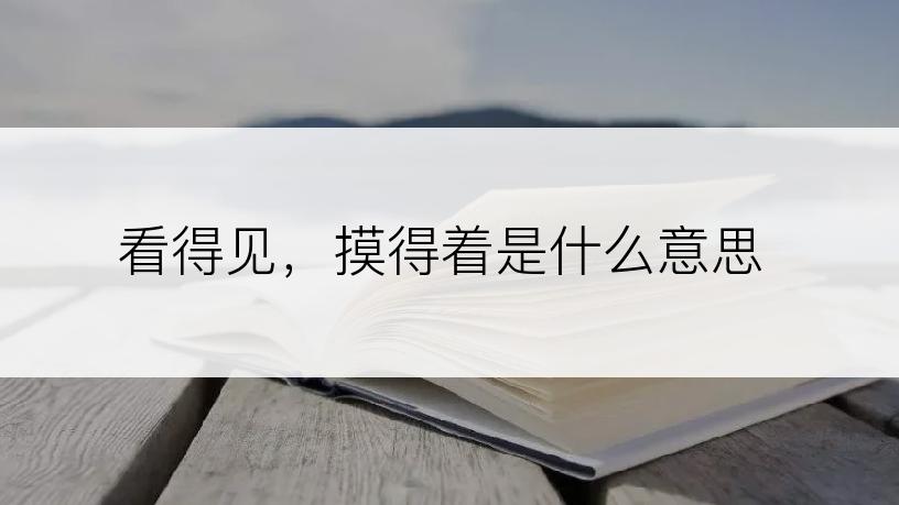 看得见，摸得着是什么意思