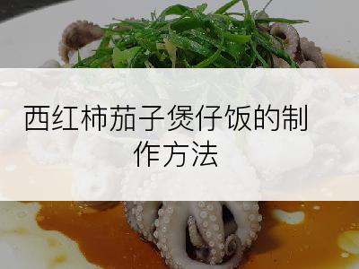 西红柿茄子煲仔饭的制作方法