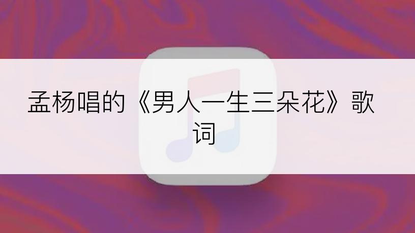 孟杨唱的《男人一生三朵花》歌词