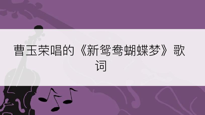 曹玉荣唱的《新鸳鸯蝴蝶梦》歌词