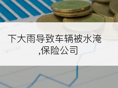 下大雨导致车辆被水淹,保险公司