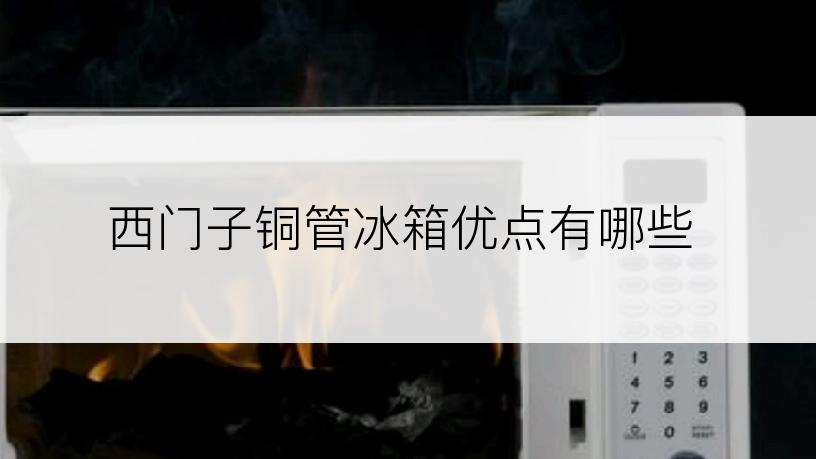 西门子铜管冰箱优点有哪些