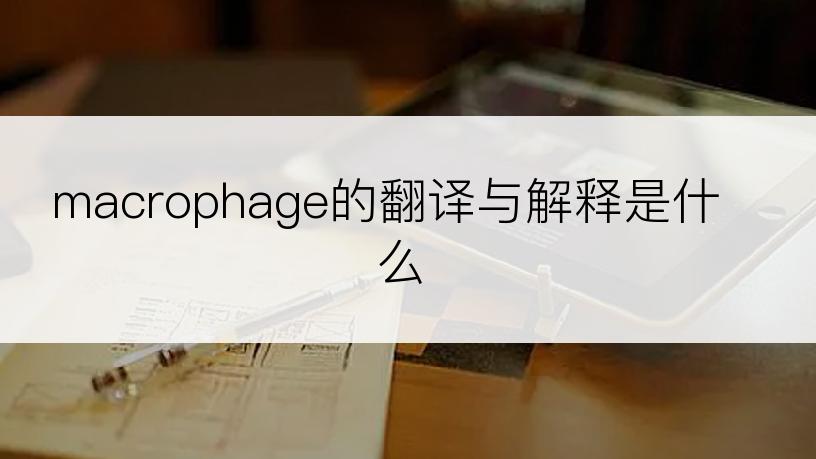 macrophage的翻译与解释是什么