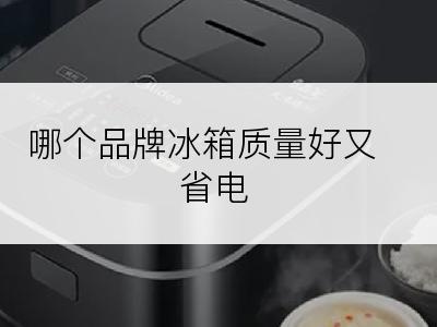 哪个品牌冰箱质量好又省电