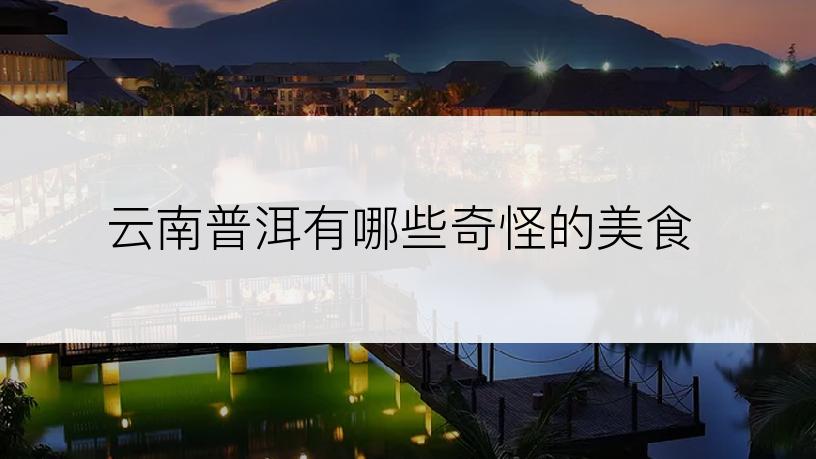 云南普洱有哪些奇怪的美食