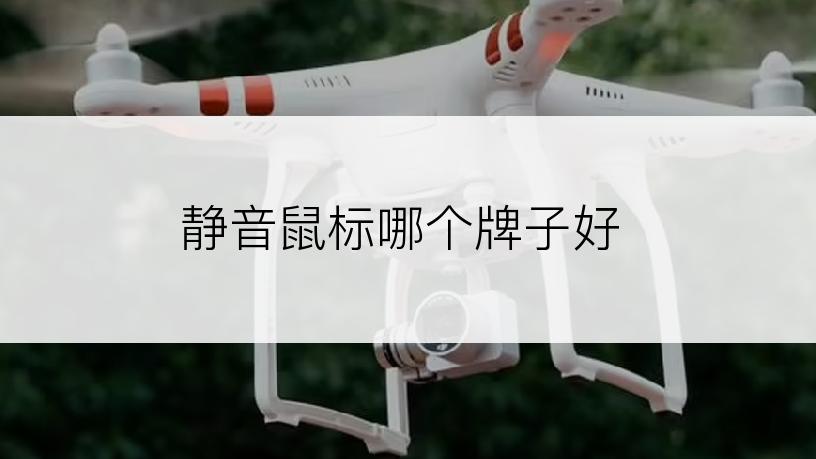 静音鼠标哪个牌子好