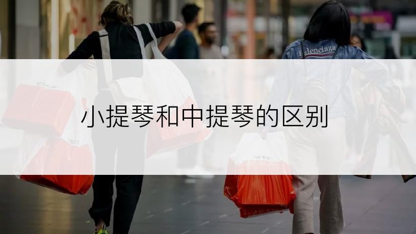 小提琴和中提琴的区别