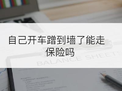 自己开车蹭到墙了能走保险吗