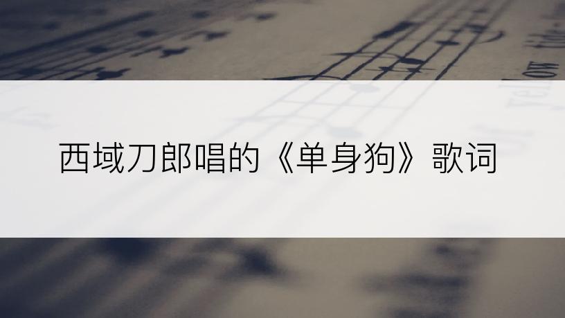 西域刀郎唱的《单身狗》歌词