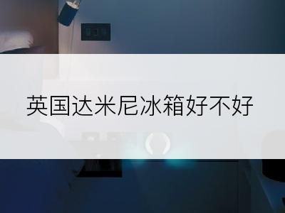 英国达米尼冰箱好不好