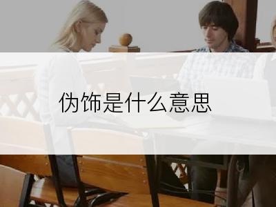 伪饰是什么意思