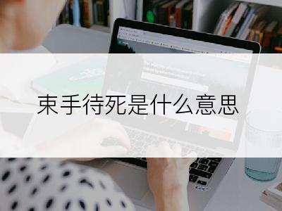 束手待死是什么意思