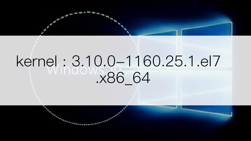 kernel : 3.10.0-1160.25.1.el7.x86_64