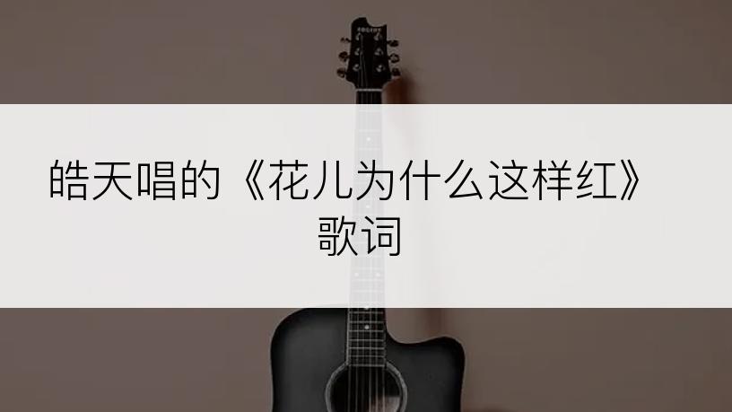 皓天唱的《花儿为什么这样红》歌词