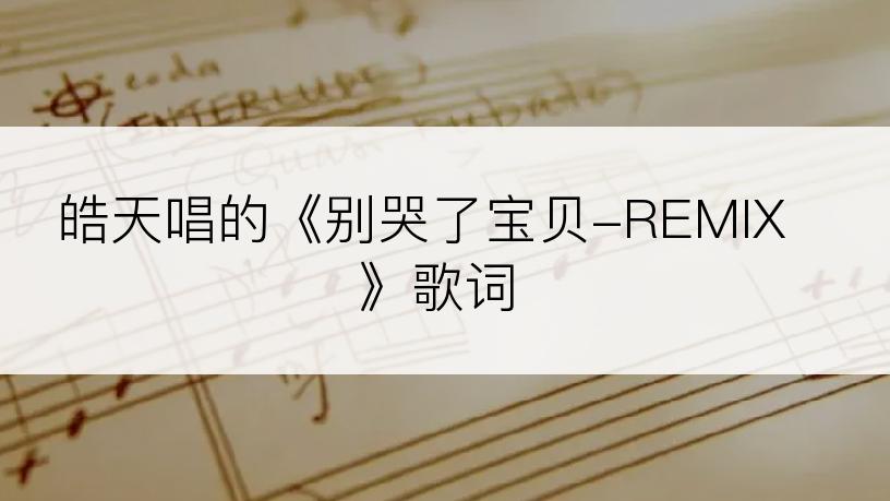 皓天唱的《别哭了宝贝-REMIX》歌词