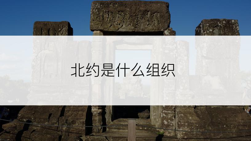 北约是什么组织