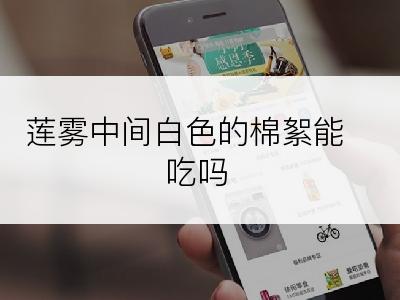 莲雾中间白色的棉絮能吃吗