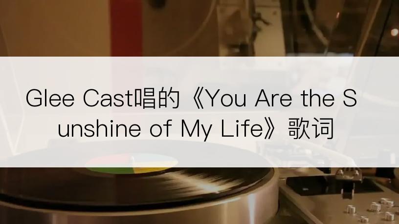 Glee Cast唱的《You Are the Sunshine of My Life》歌词