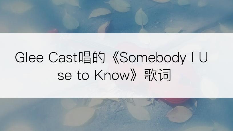 Glee Cast唱的《Somebody I Use to Know》歌词