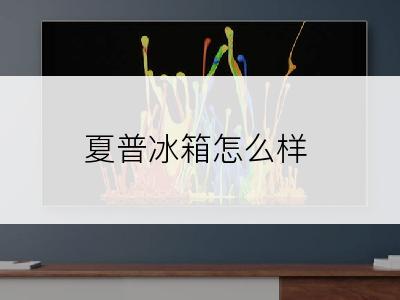 夏普冰箱怎么样