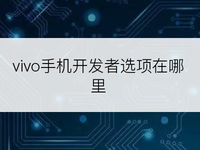 vivo手机开发者选项在哪里