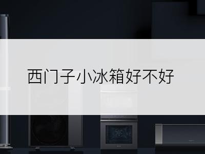 西门子小冰箱好不好