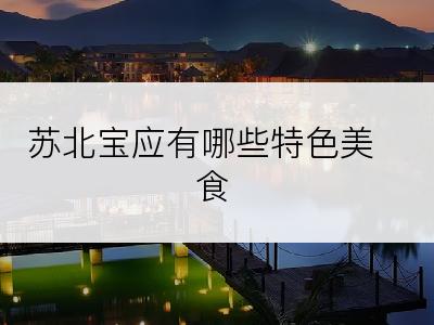 苏北宝应有哪些特色美食