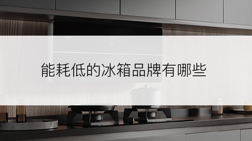 能耗低的冰箱品牌有哪些