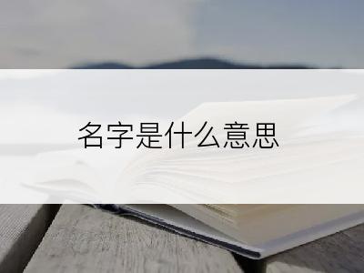 名字是什么意思