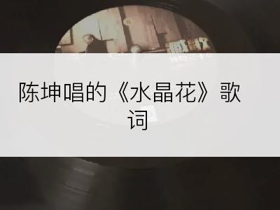 陈坤唱的《水晶花》歌词