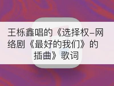 王栎鑫唱的《选择权-网络剧《最好的我们》的插曲》歌词