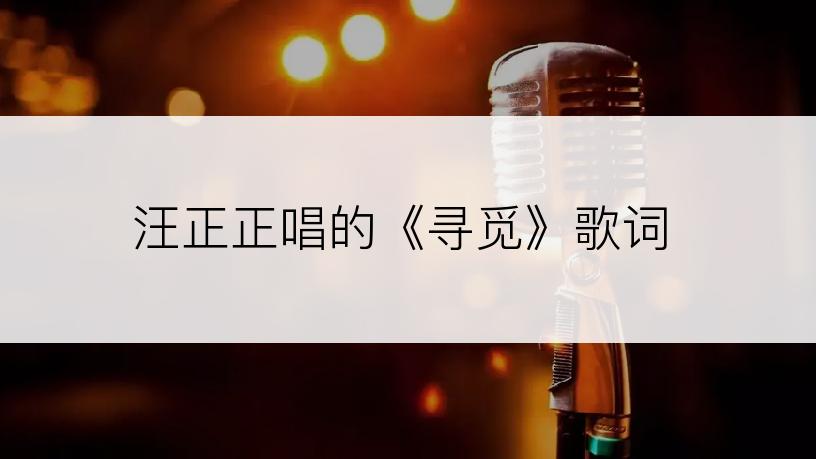 汪正正唱的《寻觅》歌词