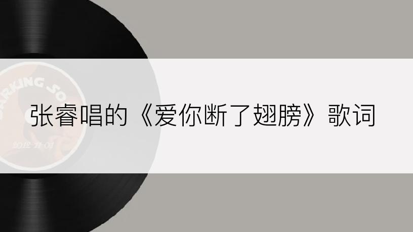 张睿唱的《爱你断了翅膀》歌词