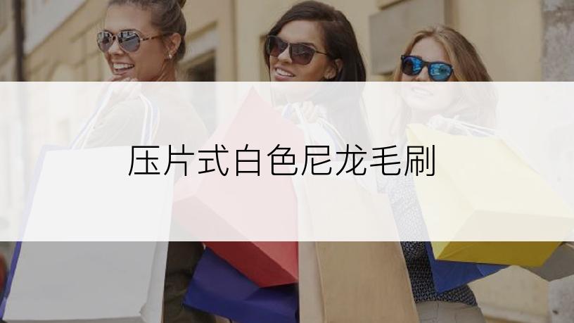 压片式白色尼龙毛刷