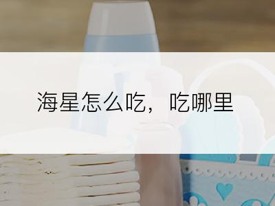 海星怎么吃，吃哪里