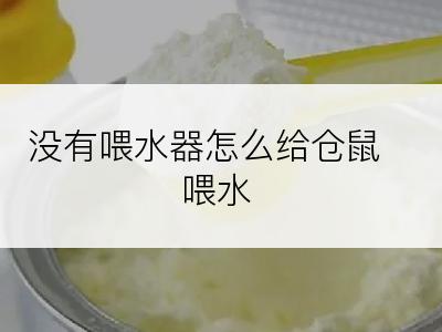 没有喂水器怎么给仓鼠喂水