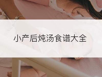 小产后炖汤食谱大全